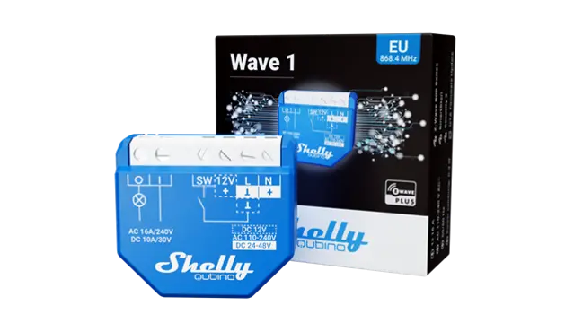 Shelly Wave 1